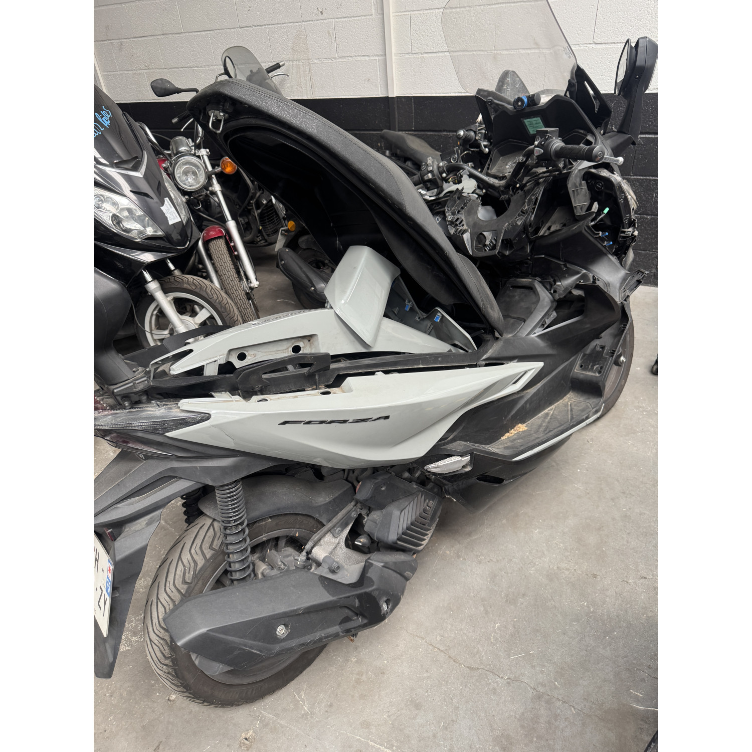 Cadre Carte grise pour HONDA FORZA 125 2022