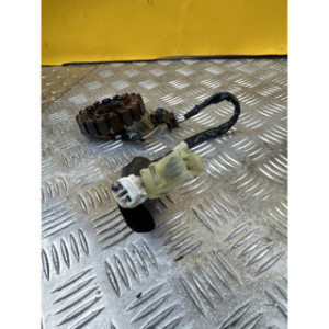Stator d'allumage pour YAMAHA XMAX 125 2012