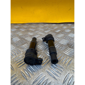 Bobine allumage pour BMW R 1200 RT ABS 2005