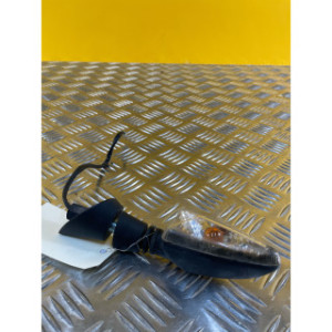 Clignotant arrière gauche pour PIAGGIO MP3 300 IE LT ABS 2016