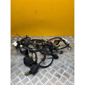 Faisceau électrique pour YAMAHA FAZER 1000 2001