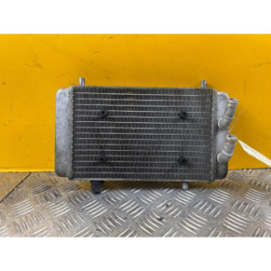 Radiateur d'eau pour YAMAHA XMAX 400 2014