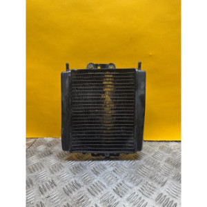 Radiateur d'eau pour PIAGGIO MP3 500 LT 2013