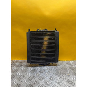 Radiateur d'eau pour PIAGGIO MP3 350 LT 2019