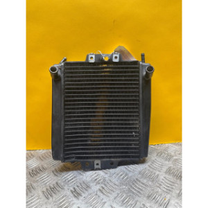 Radiateur d'eau pour PIAGGIO MP3 350 LT 2019