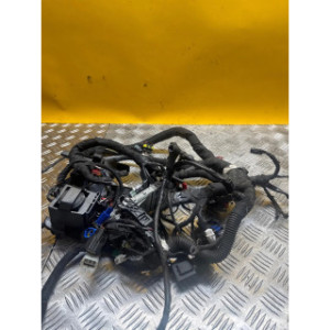 Faisceau électrique pour KTM DUKE 125 2020