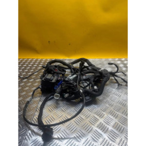 Faisceau électrique pour KTM DUKE 125 2020