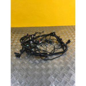 Faisceau électrique pour APRILIA ATLANTIC 500 2007
