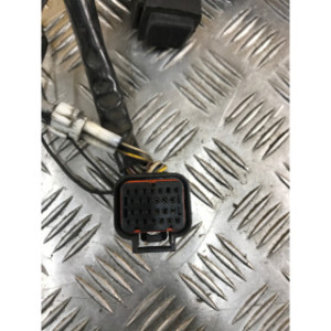 Faisceau électrique pour APRILIA ATLANTIC 500 2007