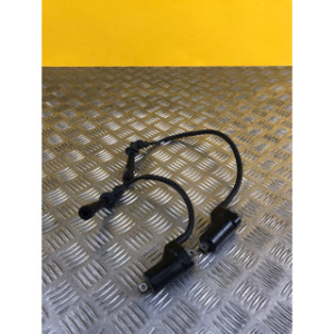 Bobine allumage pour SUZUKI SV 650 S 2001