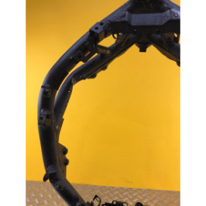 Cadre Carte grise pour KAWASAKI Z 900 2023